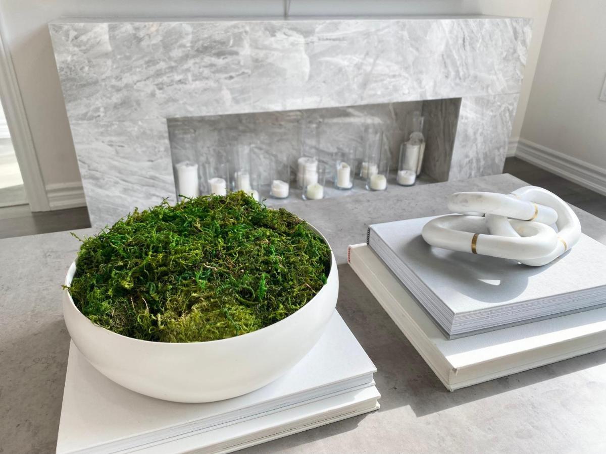 Modern And Bright Luxury Centrally Located In Toronto's Gta Apartment Toronto